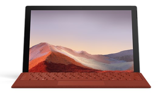 桑植清洁和维护 Surface